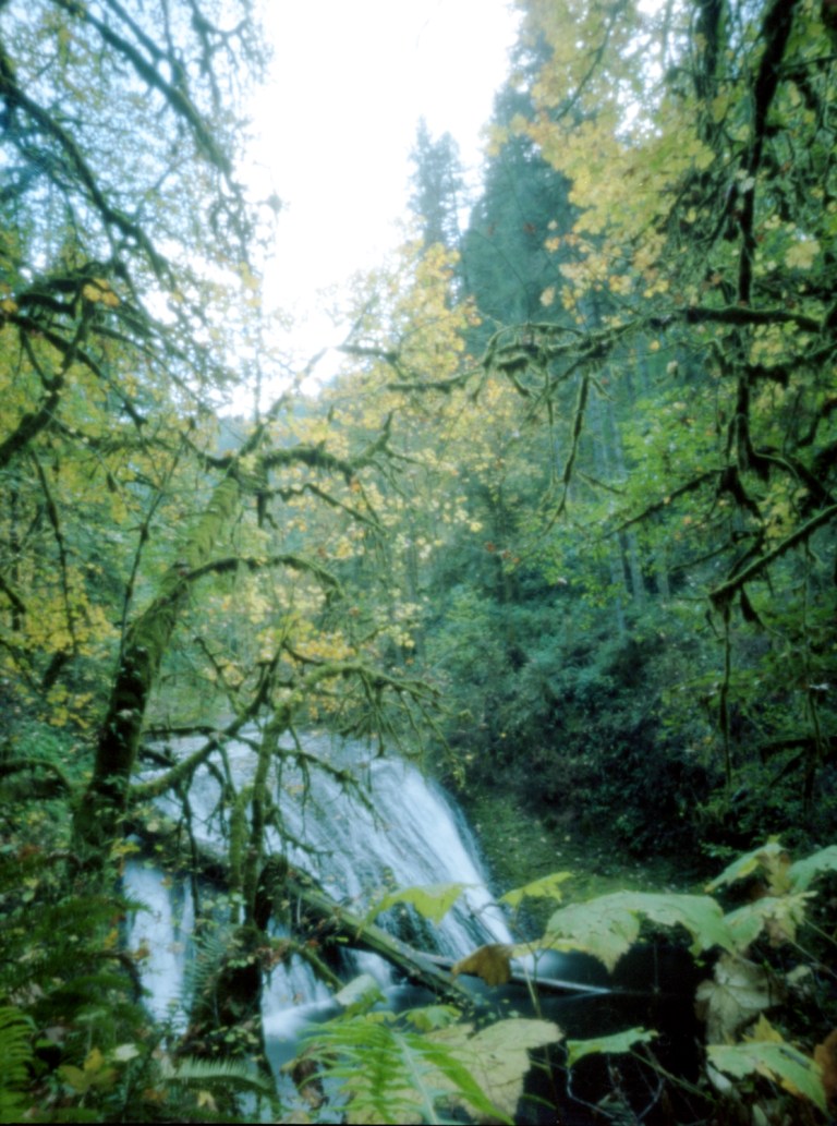 Terrapin Bijou + Ektar 100 @ ? minutes seconds