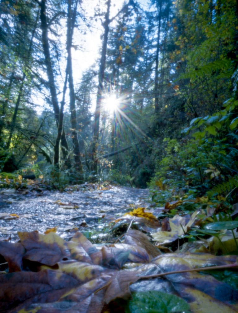 Terrapin Bijou + Ektar 100 @ ? minutes seconds