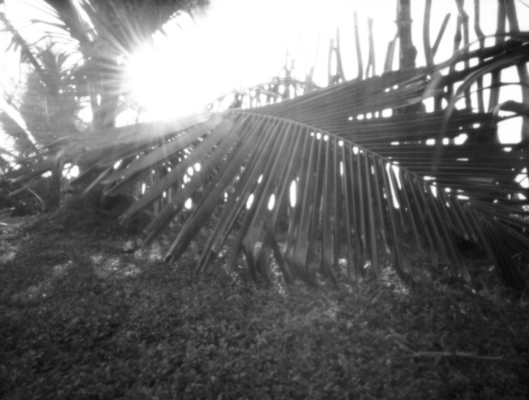 Camera: terraPin Bijou Sidewinder 6X4.5 f-stop of f/167 50mm focal length Film: Fomapan 100  Dev: Studional 1+15 8mins  awareofthevoid.com www.facebook.com/AwareOfTheVoid Development details on FilmDev