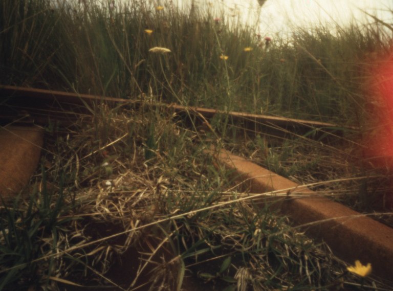 terrapin_bouji_Cr200_E6_970