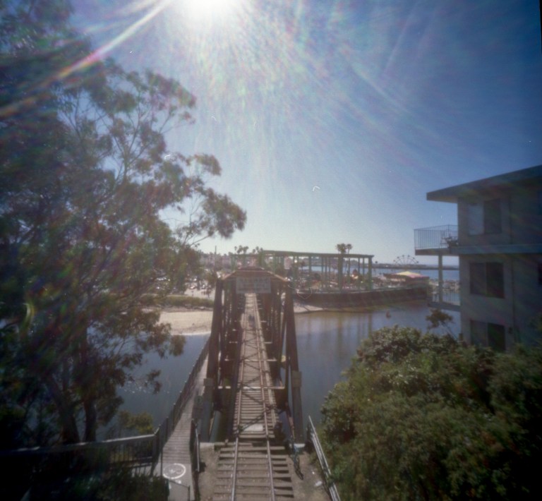 33845883394_0f8f9c3de0_o